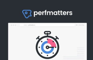 Perfmatters v2.4.7 Lightweight Performance Plugin Perfmatters v2 2 1 Lightweight Performance Plugin