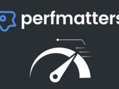Perfmatters Plugin Developed To Speed Up Your WordPress Site