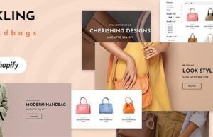 Kling-Bags shoes Fashion Shopify Store