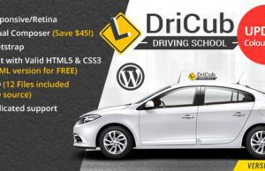 DriCub Driving School WordPress Theme