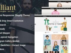 Brilliant-Multi Store Responsive Shopify Theme