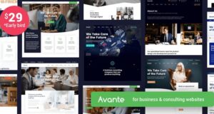 avante-business-consulting-wordpress