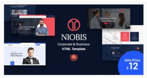 NioBis-Corporate-Consulting-Template