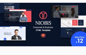 NioBis-Corporate-Consulting-Template