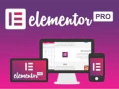 Elementor Pro The Most Advanced Website Builder Plugin