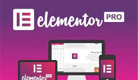 Elementor Pro The Most Advanced Website Builder Plugin