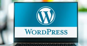 Why we should use a WordPress website for your new business