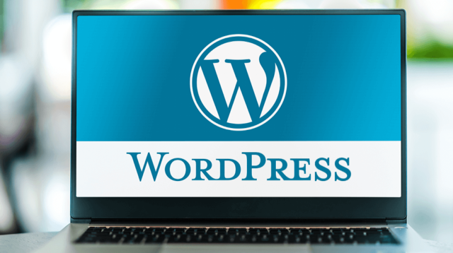 Why we should use a WordPress website for your new business