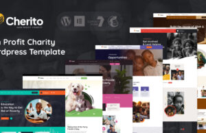 Cherito Non Profit Charity WordPress Theme Cherito Non Profit Charity WordPress Theme